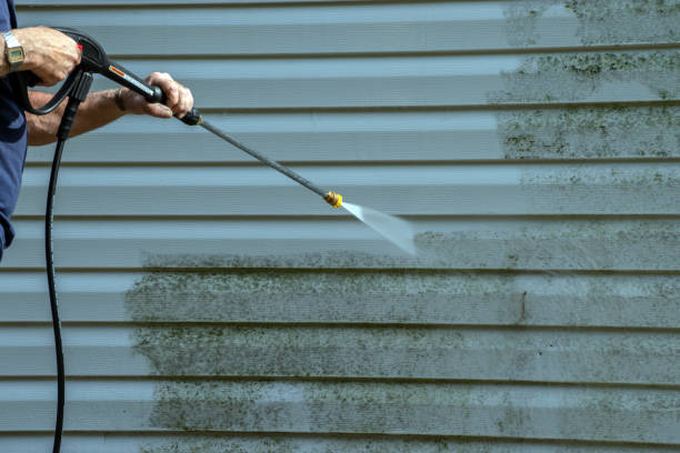 Best Fence Cleaning  in Villas, FL